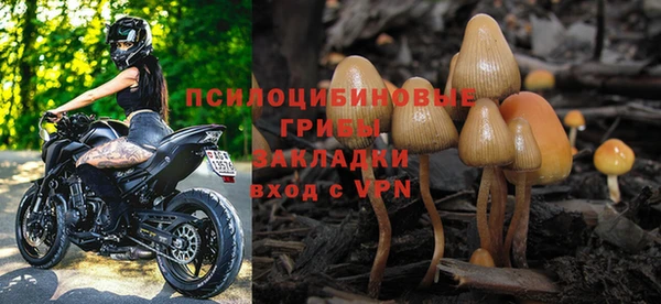 кокс Баксан